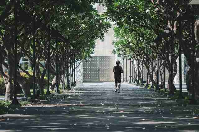 付费首发探花视频——对比评测萌新不迷路