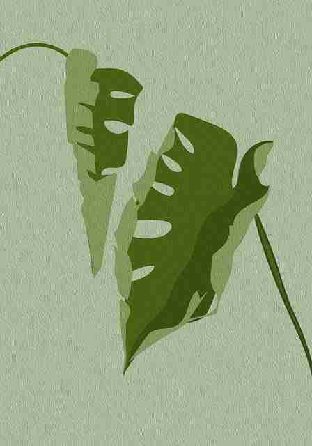 麻豆app实战技巧彩蛋季节45个关键点沉浸观影 第2张 麻豆app实战技巧彩蛋季节45个关键点沉浸观影 第2张